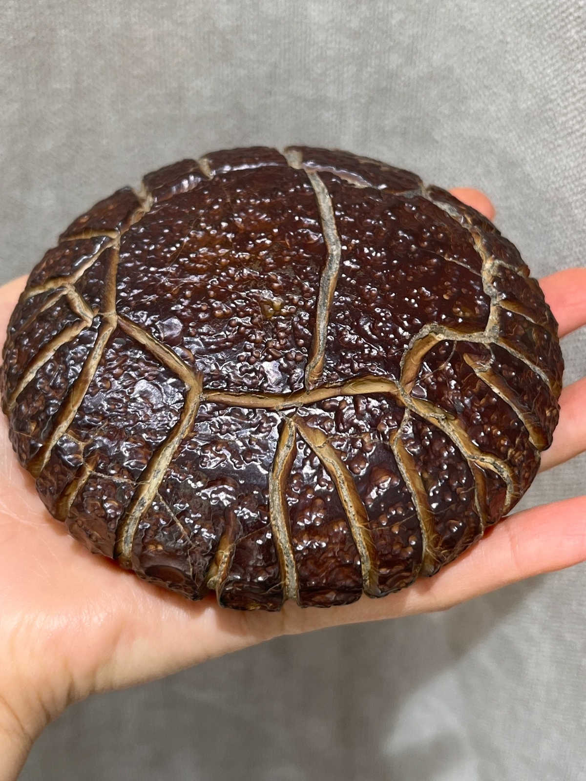 China Natural stone "tortoise back pattern" stone Moire stone 10.7x10.4x4.8