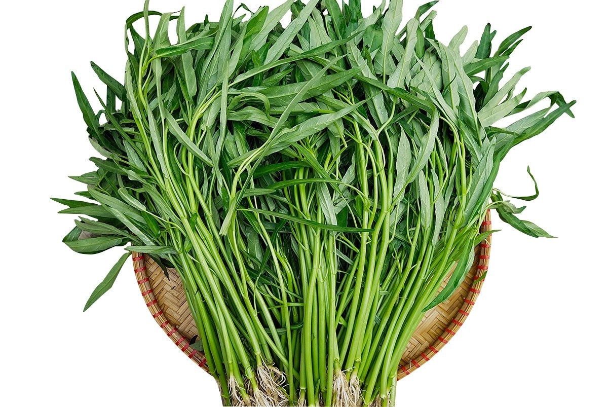 Water Spinach Seeds ,ong choy, kangkong, Rau Muống