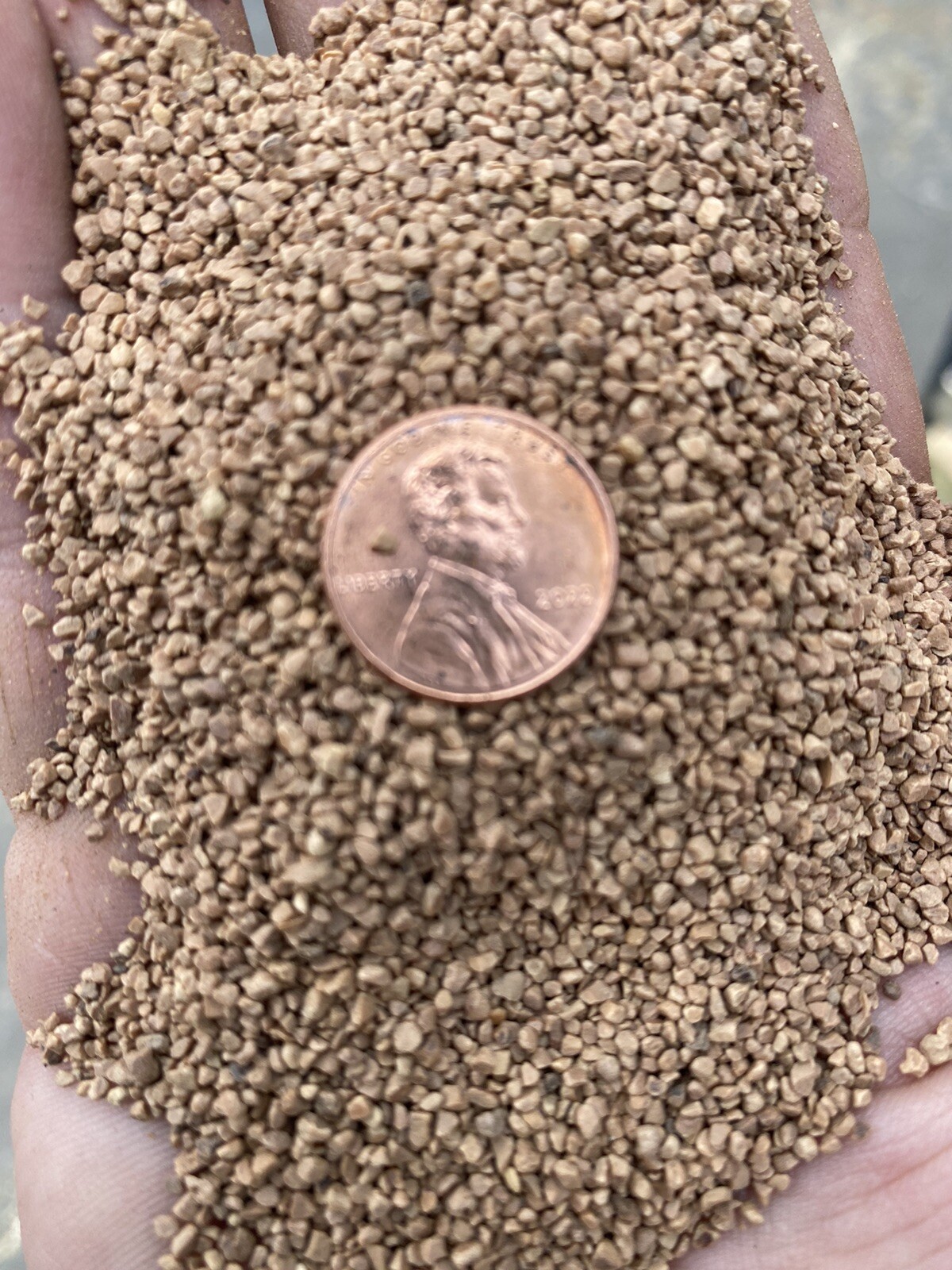 5lb Black Walnut Shell Tumbler Media 12/20Course Soft Grain  Untreated