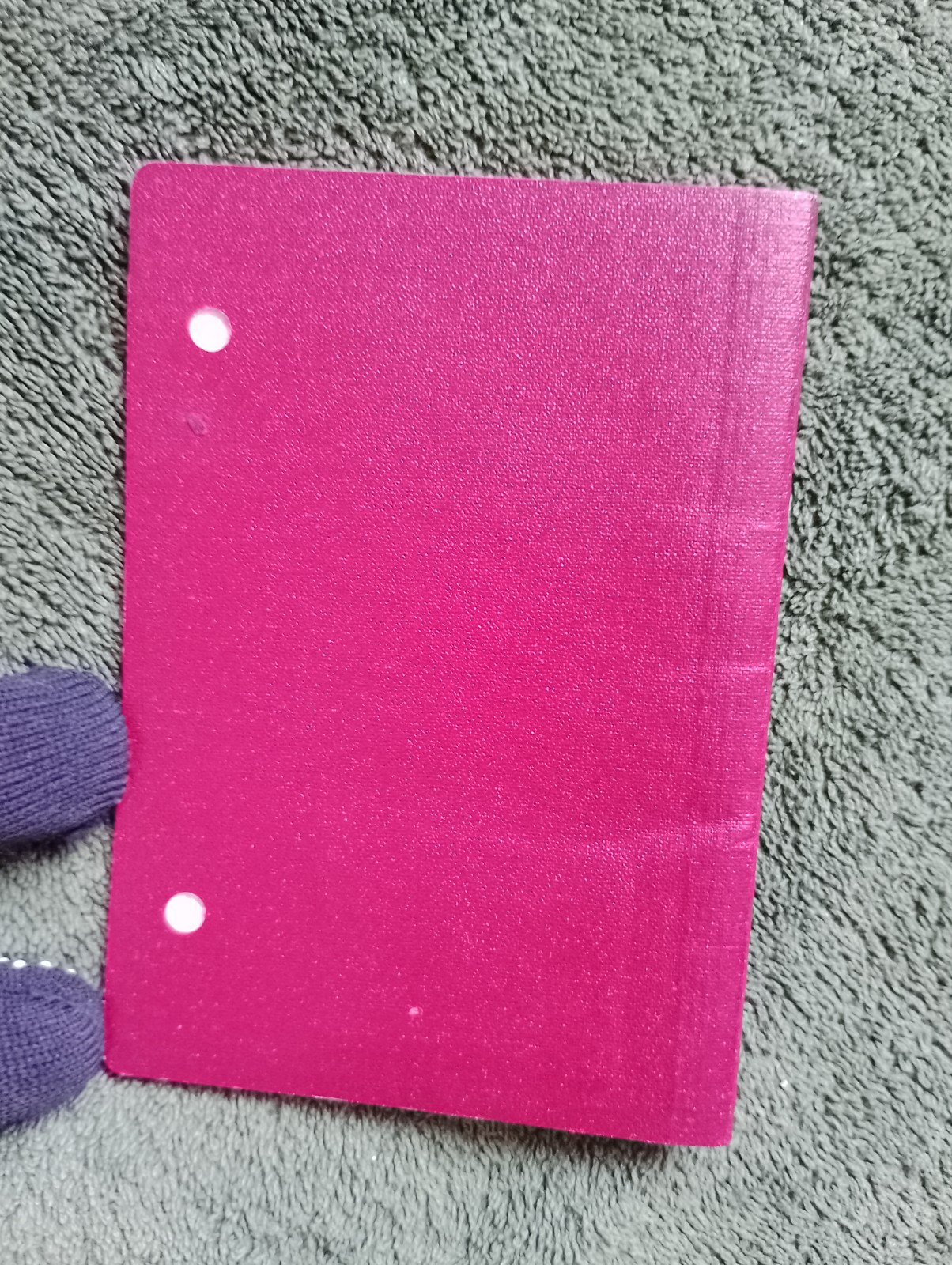 Two foreign travel passports belonging to a female Russian citizen.