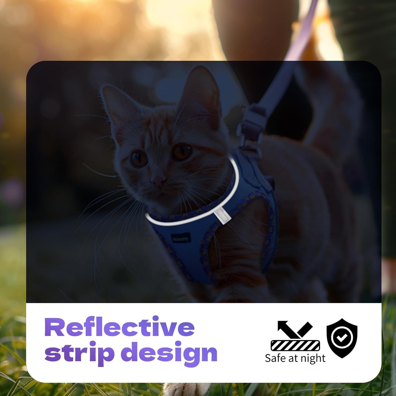 Cat Harness and Leash Set, Escape Proof Kitten Harness (Pink,Chest:14"-15.5")