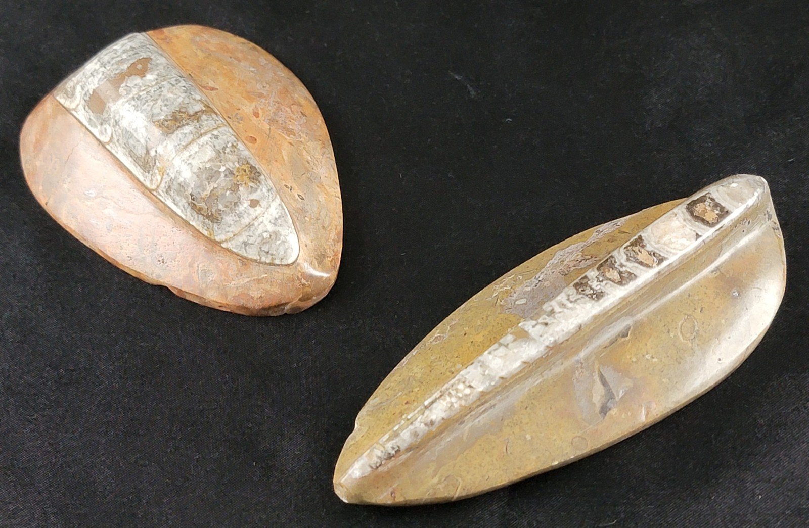 Vintage Ancient Orthoceras Squid Shell Fossil Morocco Approx 3.5" & 4.5" Lot of