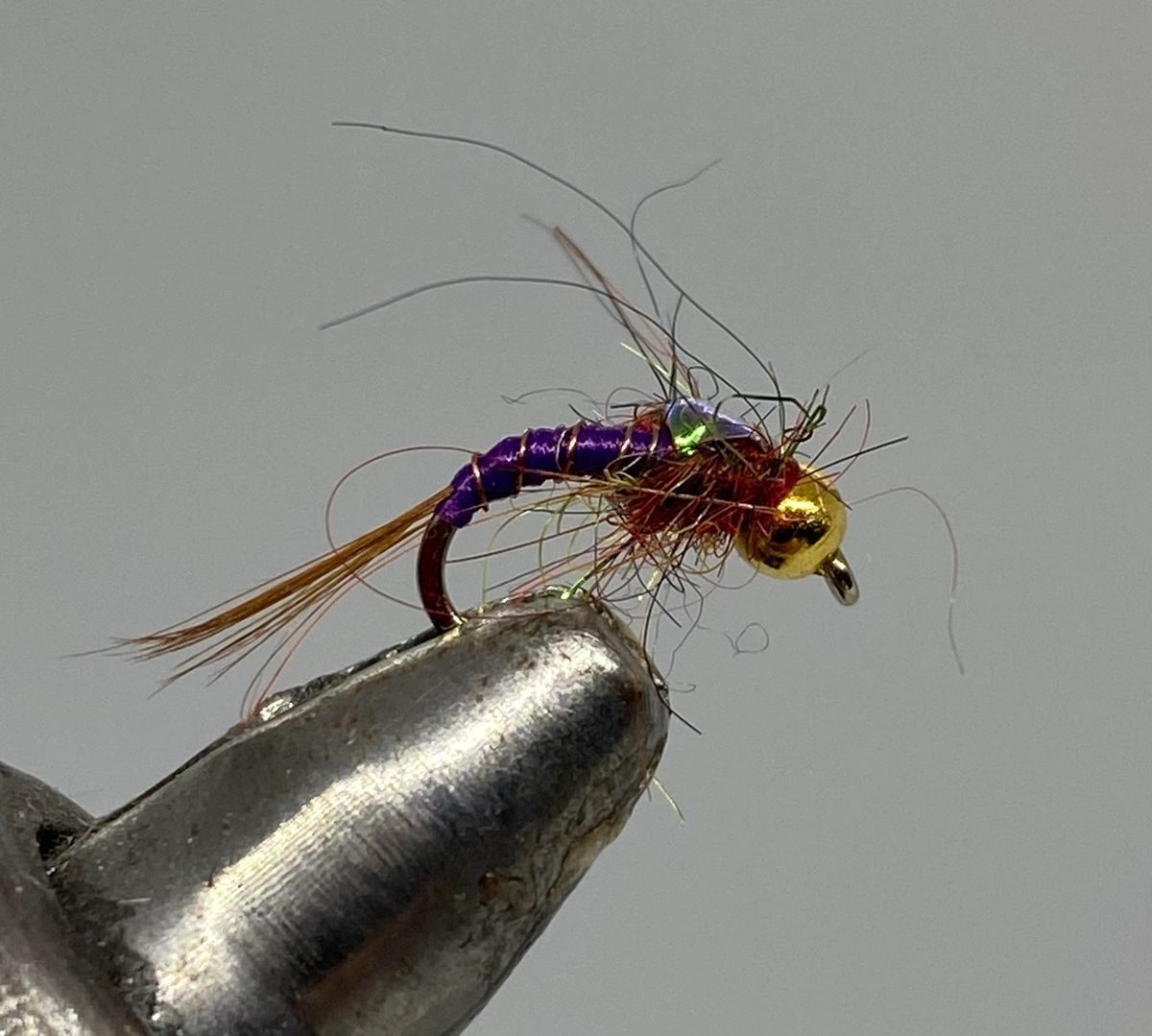One Dozen (12) Tungsten Beadhead Rainbow Warrior Purple, Nymph- Strike Fly Compa