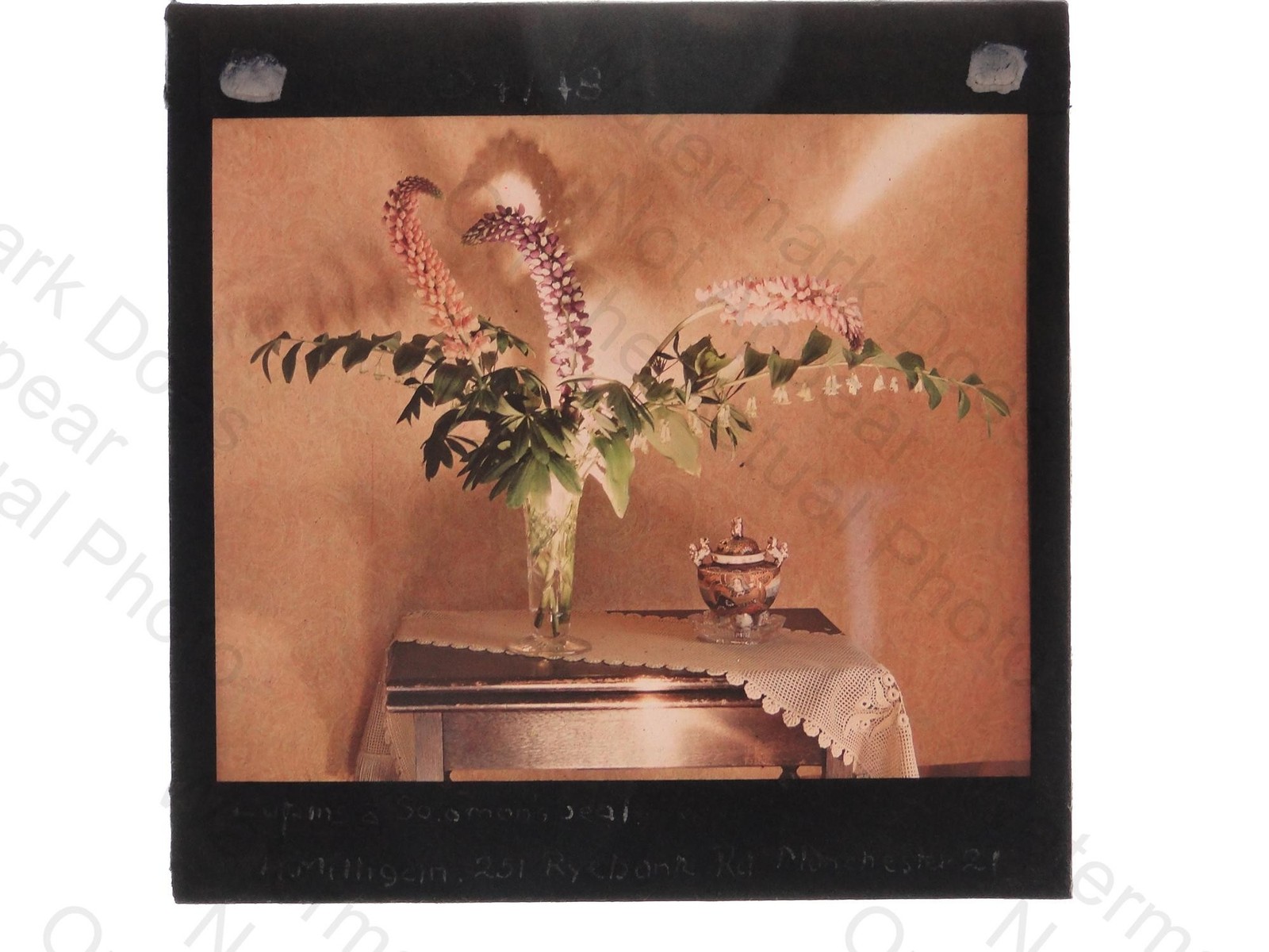 Still Life Flowers Vase Milligan Solomon Seal Dufaycolor Lantern Slide