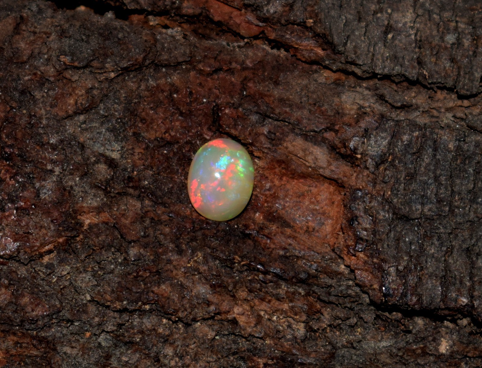 Natural Ethiopian Wello Fire Opal Cabochon Loose Gemstone 6X8mm A23