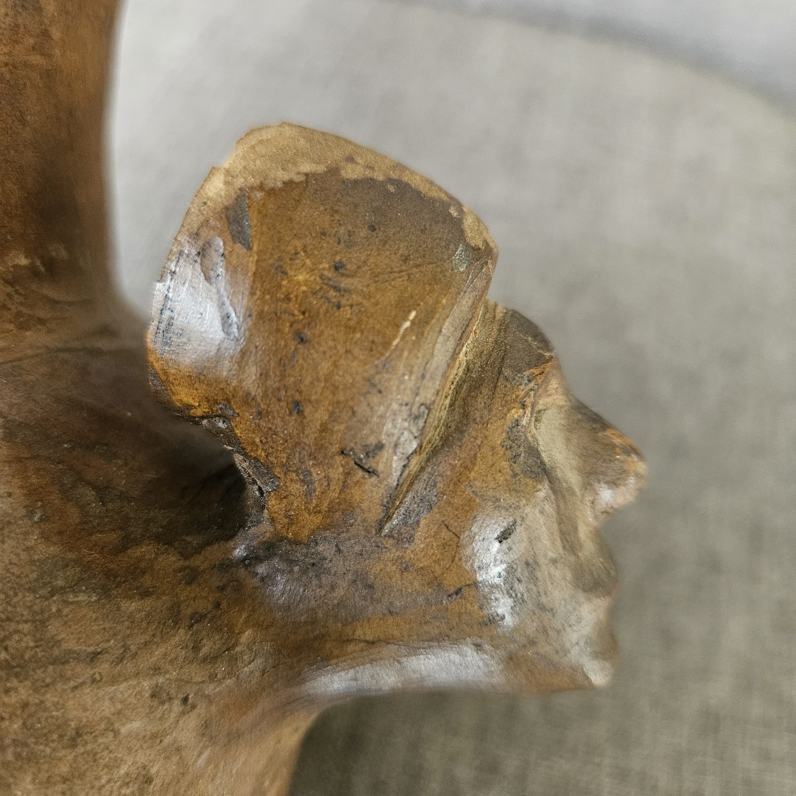 Catawba indian pottery, Unsigned Hagler Head