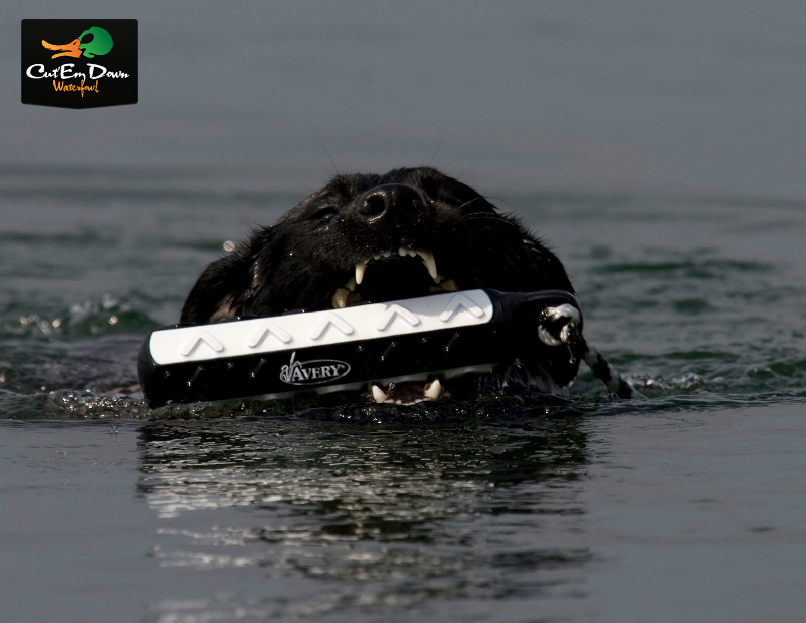 AVERY GREENHEAD GEAR GHG FLASHER HEXA BUMPER 6 PACK DOG TRAINING THROWING DUMMY