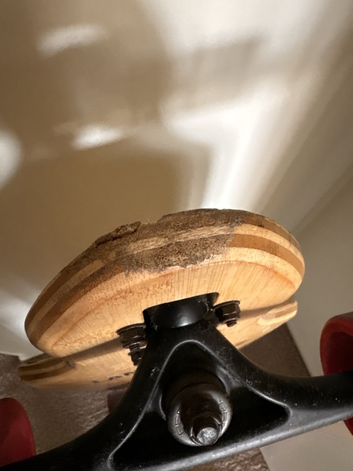 Landyachtz BattleAxe Thunderbird 40" Longboard Bear Trucks Hawgs 69mm Wheels