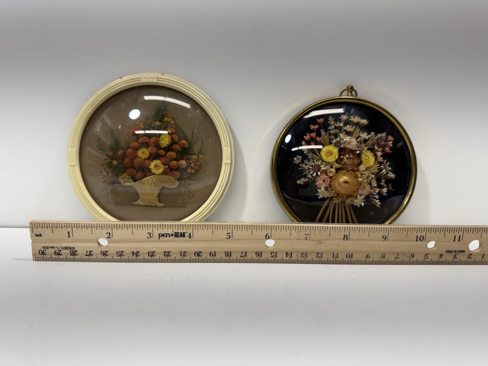 Vintage Belgium Cide Art Dried Flower Art Preserved Under Domed Glass Frame