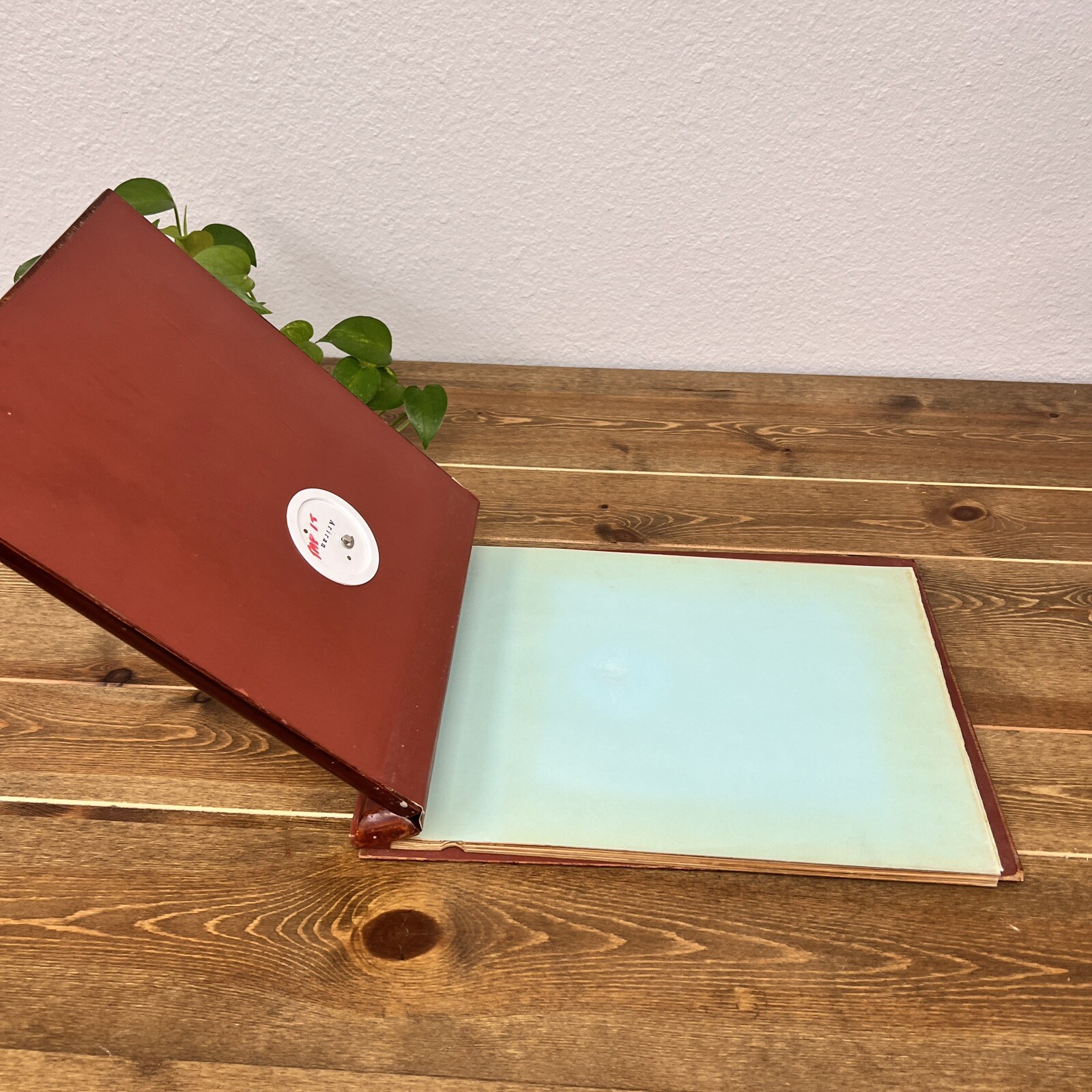 Wooden Shell Inlayed Peacock Photo Album Music Box Vintage Abalone Ariran Asian