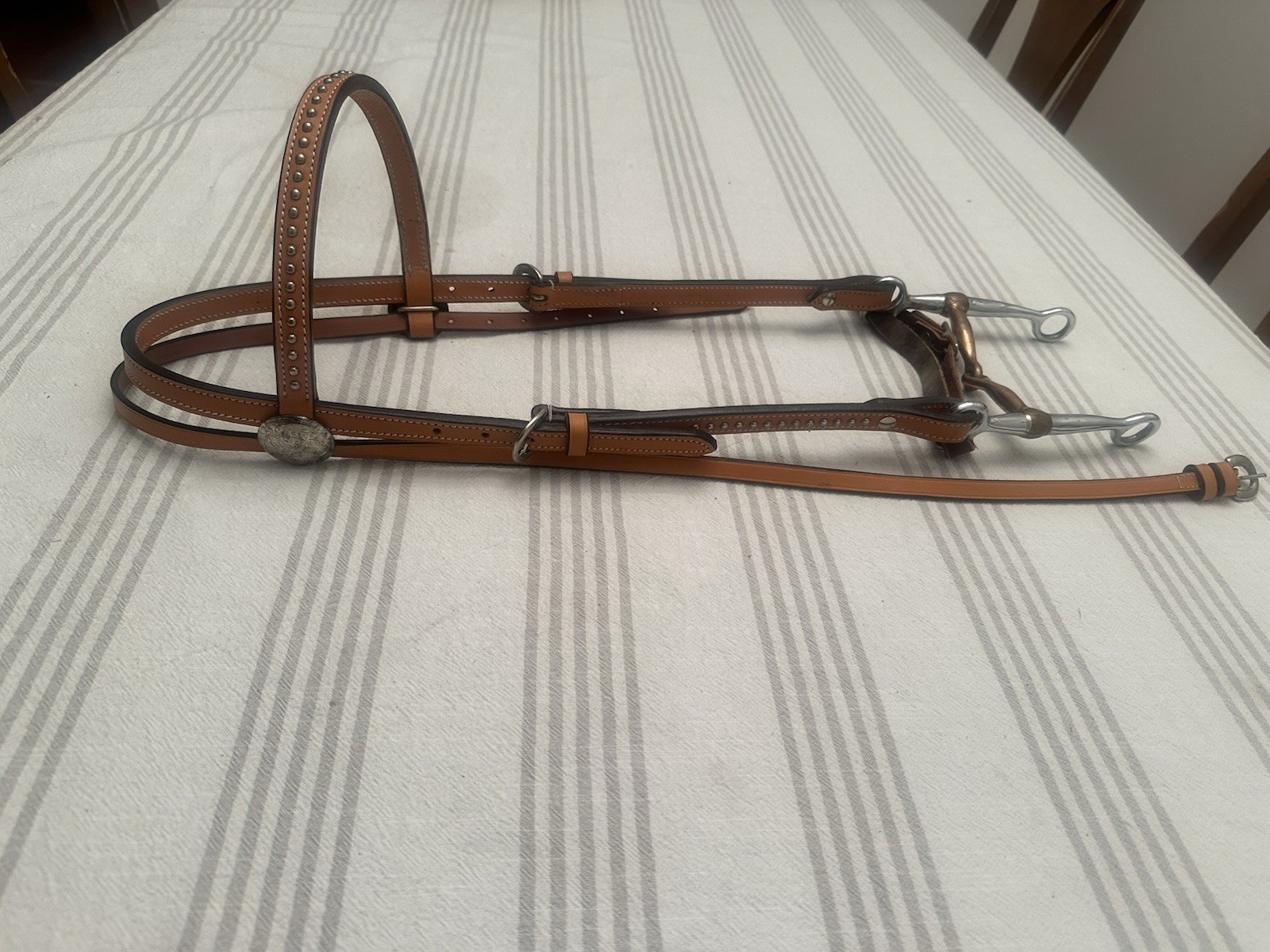 Vintage Champion Turf & Reins, Bridle leather Southwestern Style Silver Accent