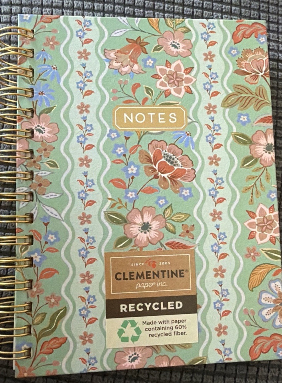 CLEMENTINE Journal Notebook  300 Lined Pgs Hardcover Spiral green Floral  8x6