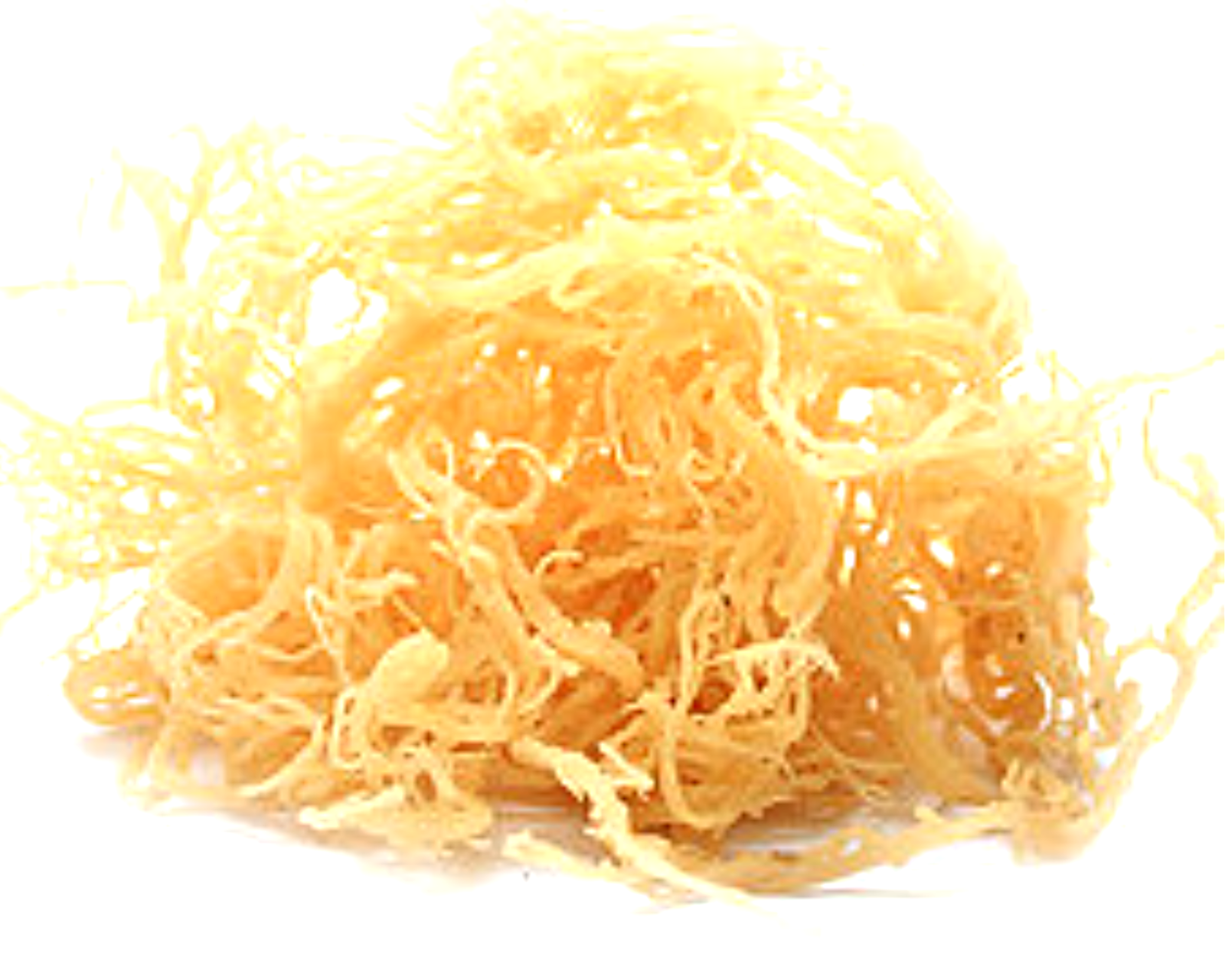 Rastarafi® Sea Moss Gel (Unflavored) Irish Moss | Raw Wildcrafted Superfood Gel