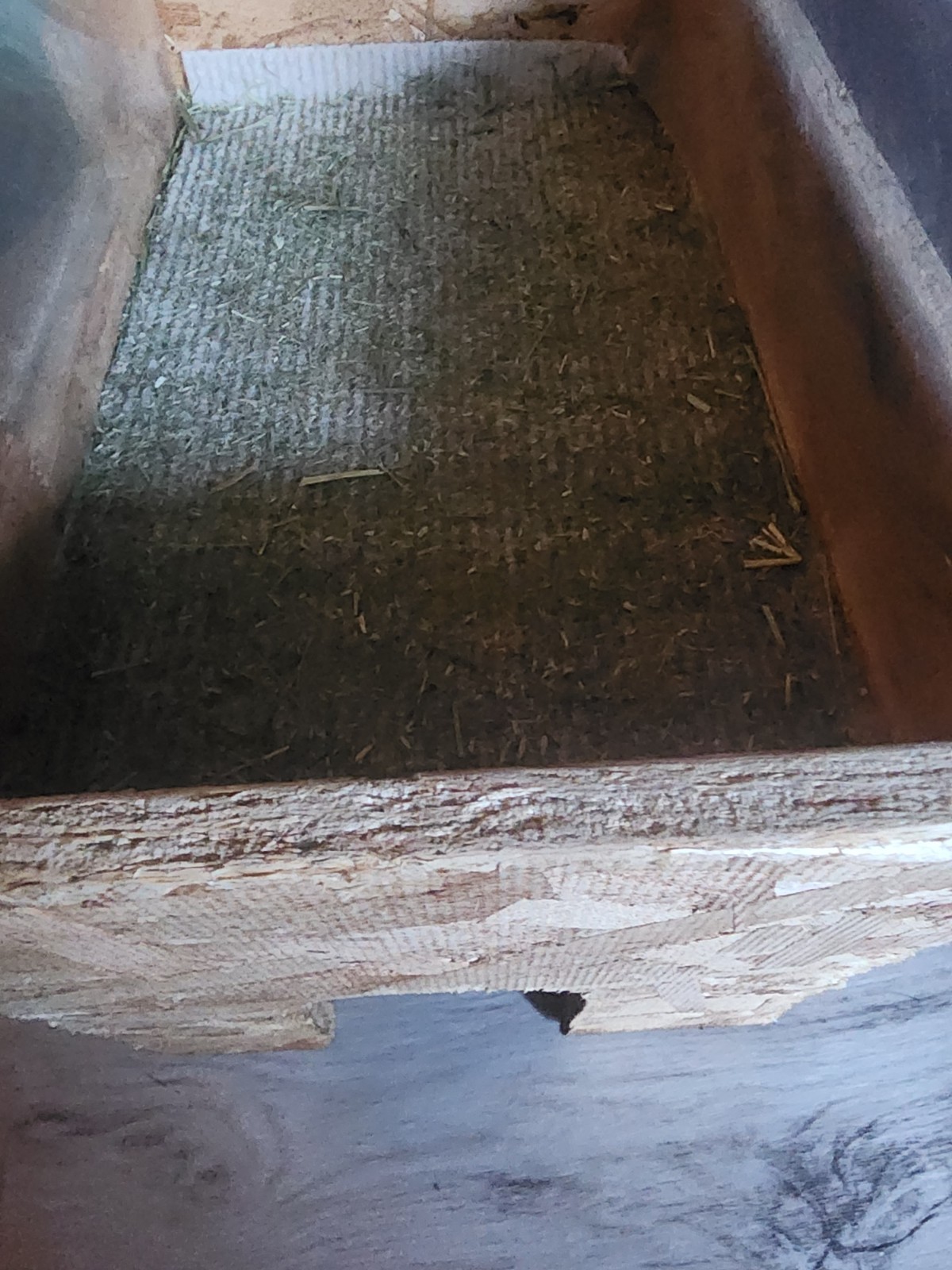 Guinea Pig Accessories Lot, Hideout x3, Water Bottle, Food, Hay, Toys