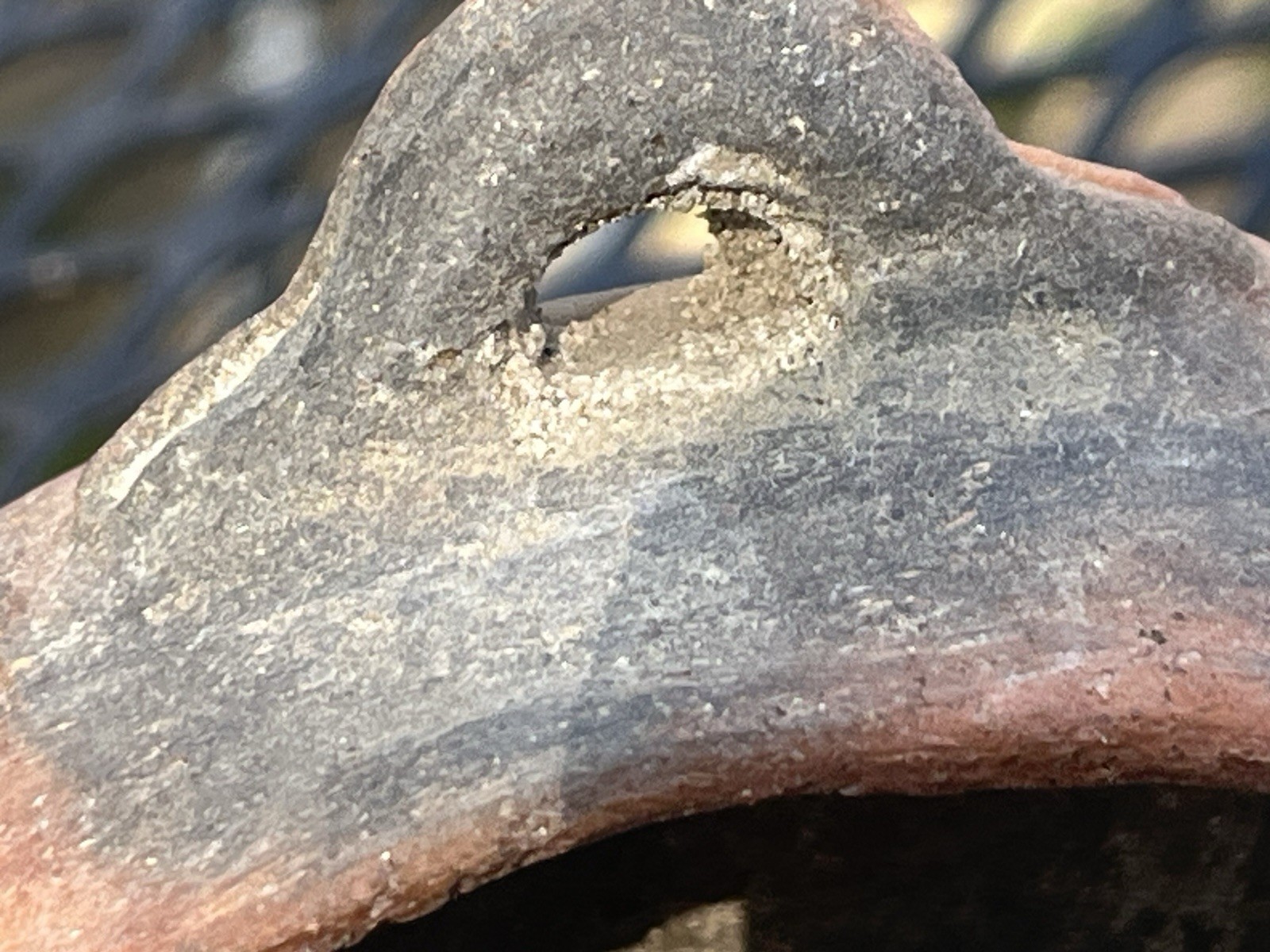 Taino Pottery Bowl PreColumbian Ancient Artifact Arawak Caribe Mayan