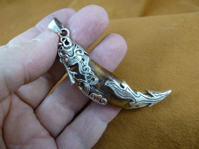 AK-TOOTH-102 Fossil 1000 yrs old Wolf tooth 2-1/2" silver filigree flame pendant