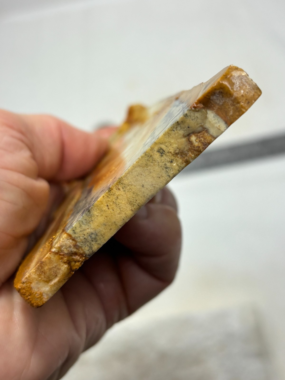 Disaster Peak Picture Jasper Slab Cabbing Lapidary Collecting Combo Ship Avail