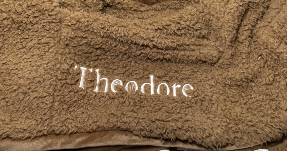 Pottery Barn Kids Anywhere Chair®, Caramel Sherpa Bear Slipcover~ My First ~READ