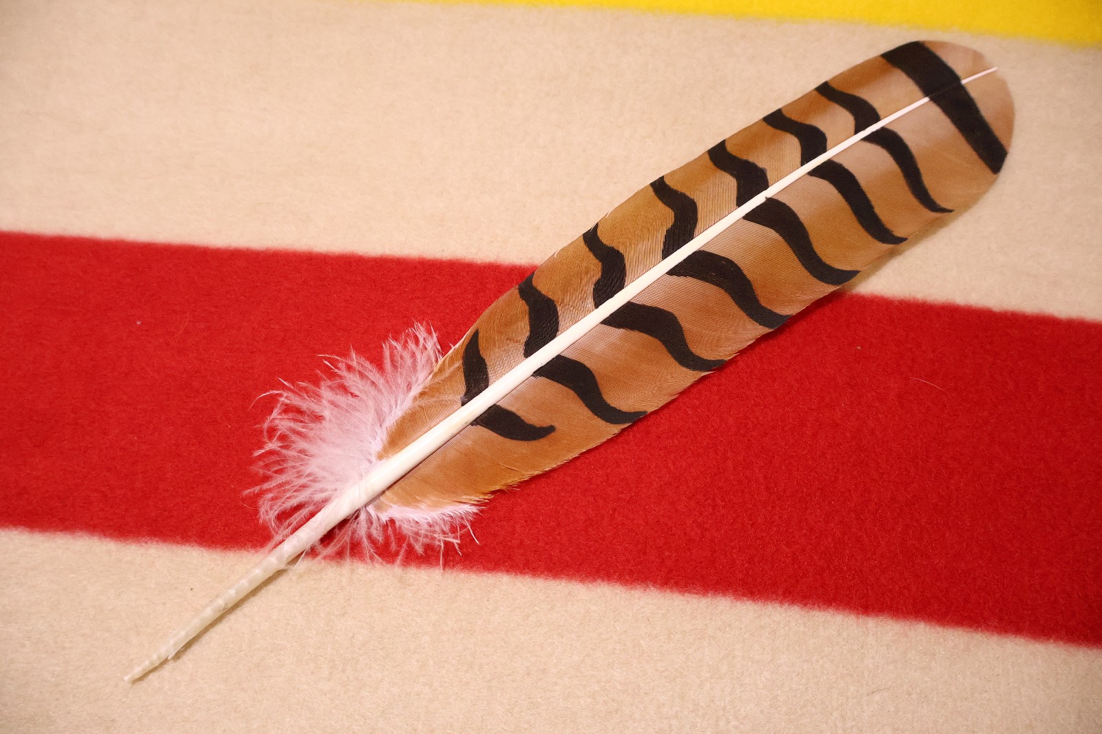 Native American hand painted Red-Tailed Hawk Feather