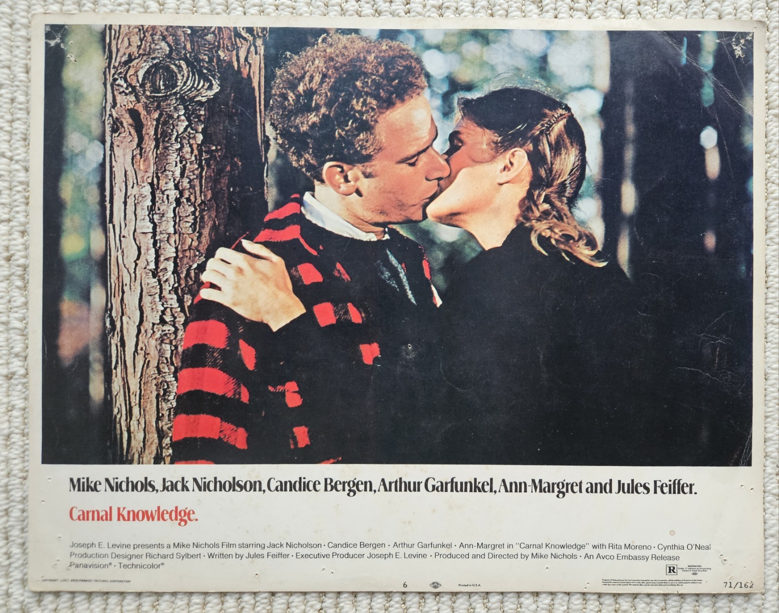 Carnal Knowledge 1971 six orig US 11x14 lobby cards Art Garfunkel Jack Nicholson