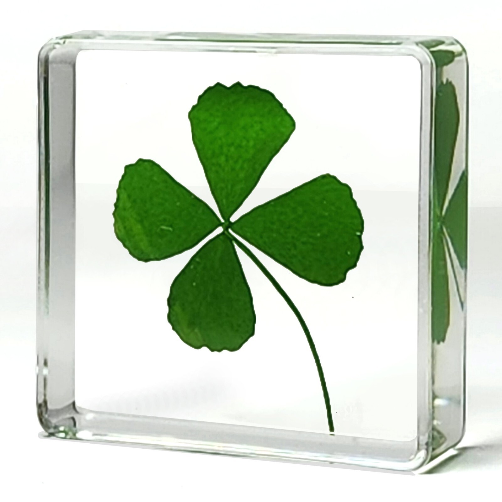 Four Leaf Clover in Resin, Tiny Good Luck Charm, Trifolium repens