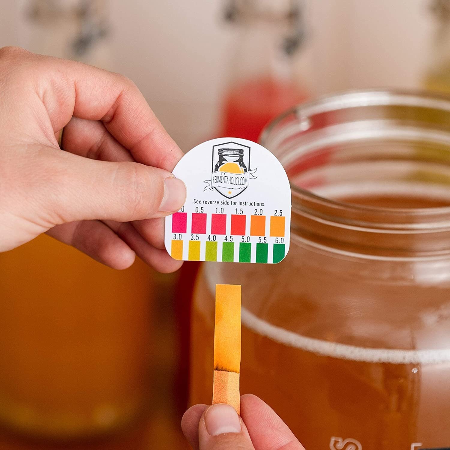 Kombucha Essentials Kit - ORGANIC SCOBY - Brew kombucha at Home