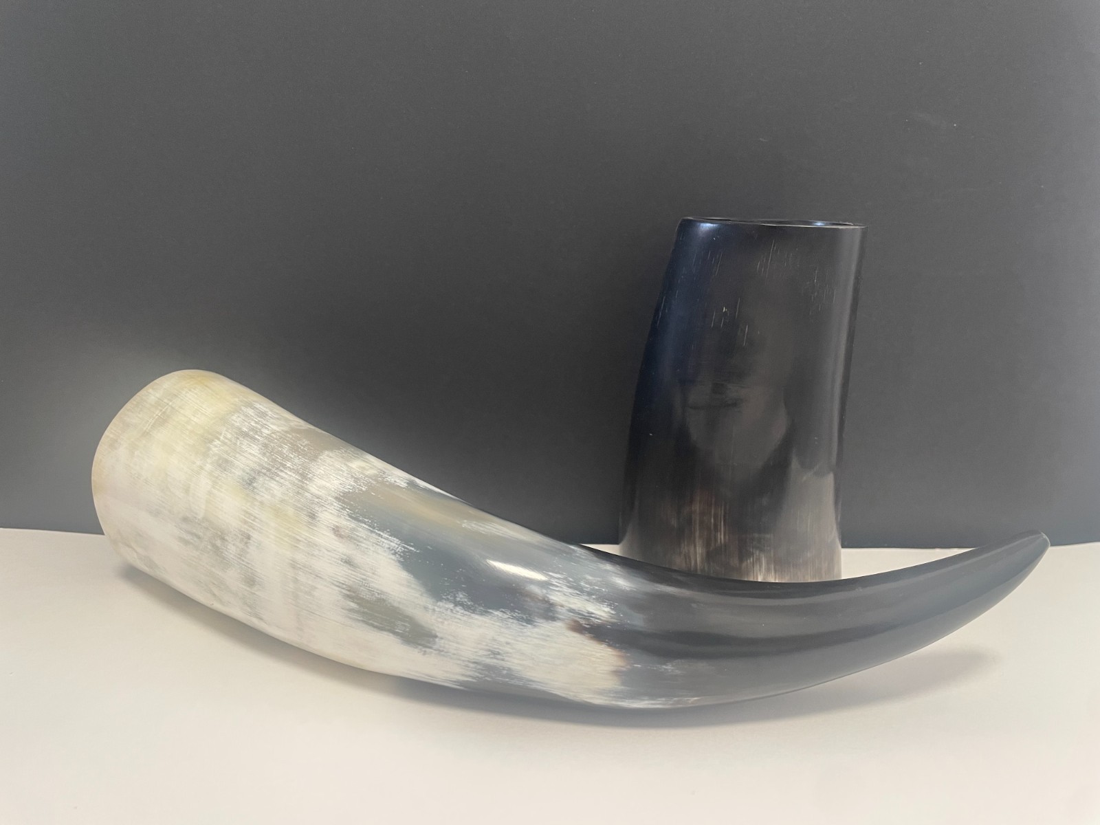 Large Polished Viking Drinking Horn & Matching Horn Stand - Natural Mead Vessel