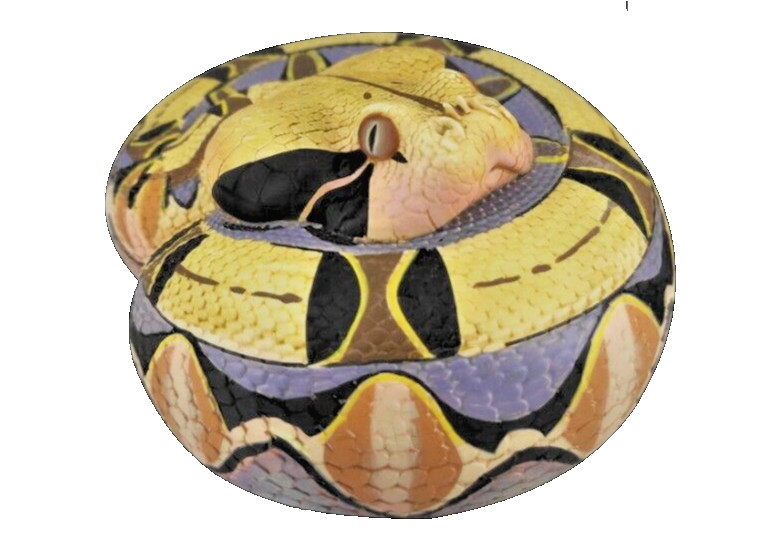 Animal Heavenly Body Gabonica Gaboon Viper Collectible Snake Statue