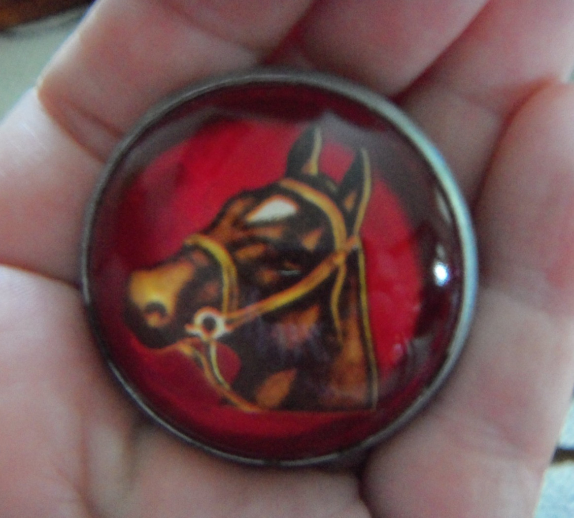 Vintage Glass Domed HORSE BRIDLE ROSETTES Equestrian Decorative Chapman MINN