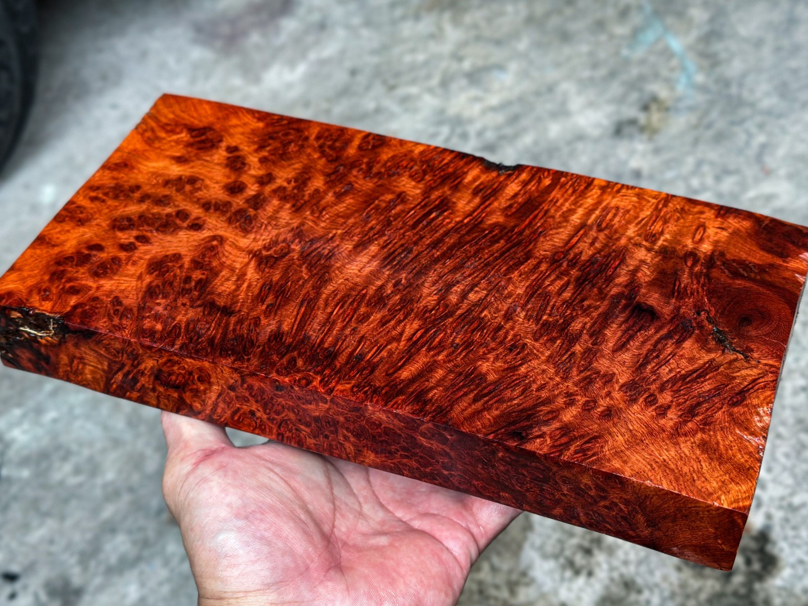 RARE!! Amboyna Burl ,Exotic Wood, Lumber, Knife Timber Handle Lumber #2895