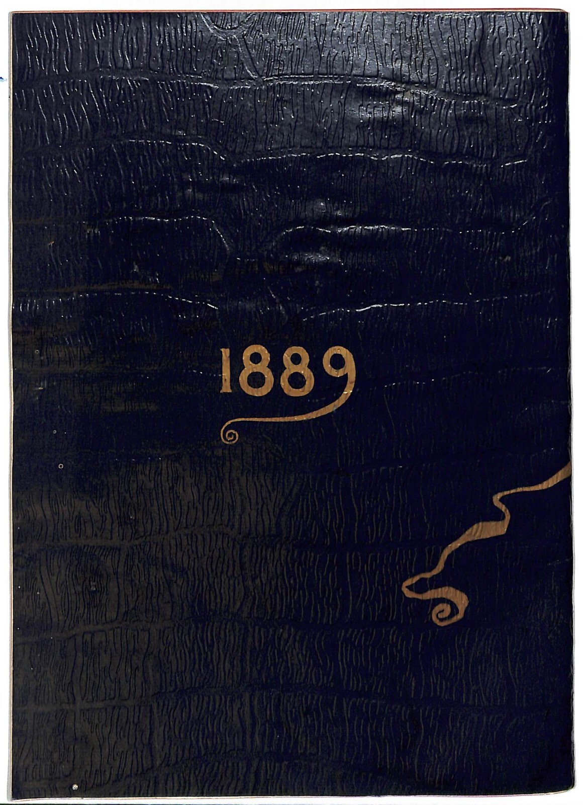 New York Pharmacal Association "Lactopeptine Medical Annual" 1889 32pp Scarce