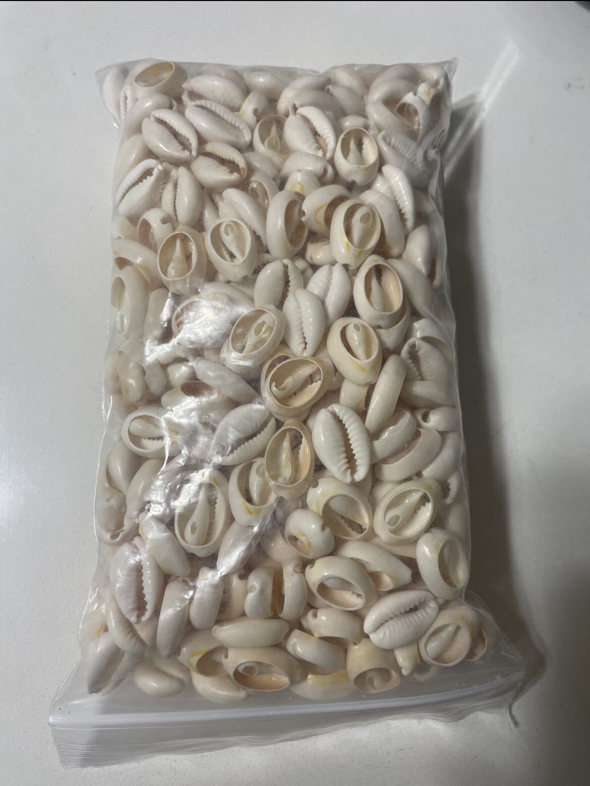 CARACOLES BLANCOS ABIERTOS ( 1 LB ) SANTERIA IFA RELIGION