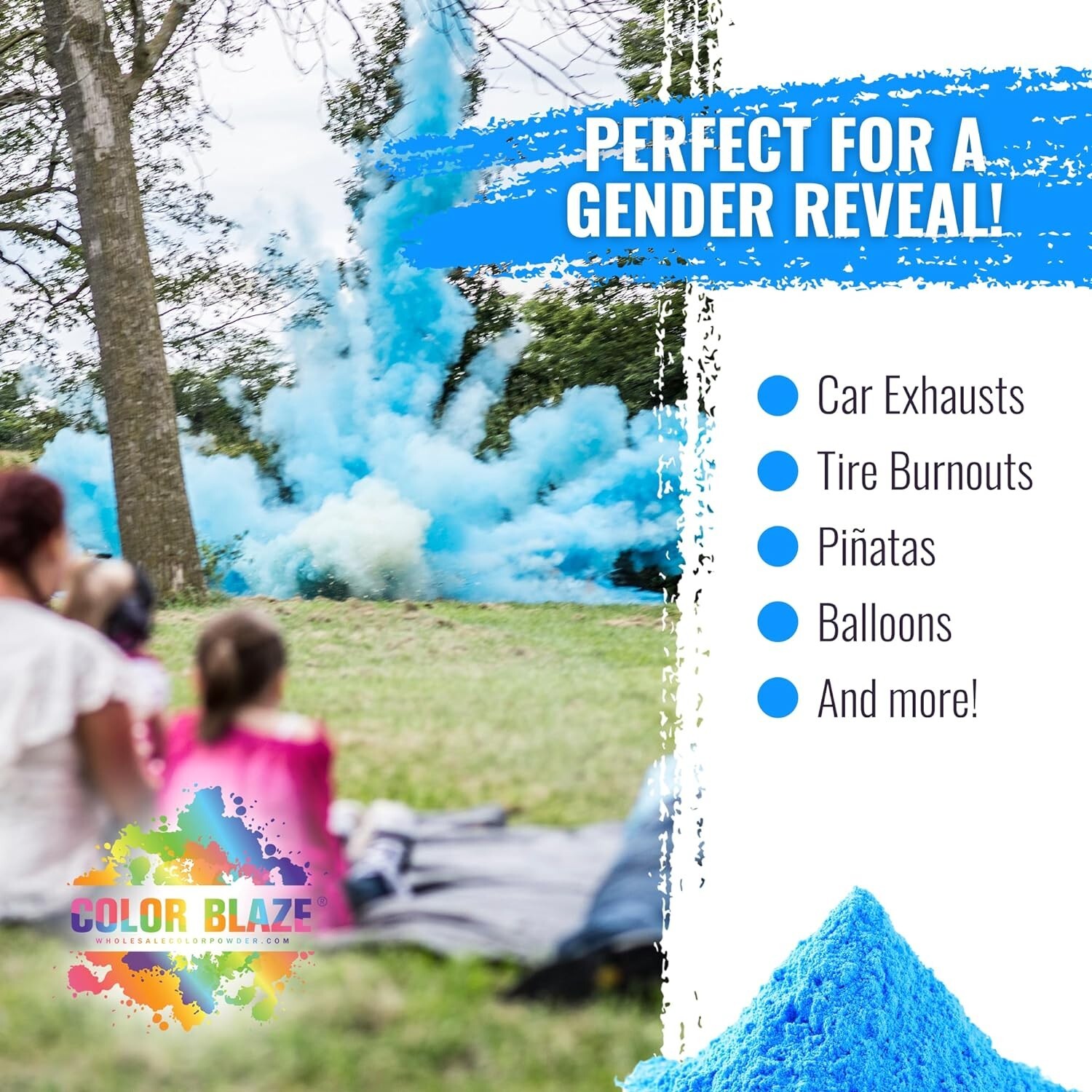 Color Blaze - 15lbs Blue Color Powder - Gender Reveal Baby Boy Color Run Holi