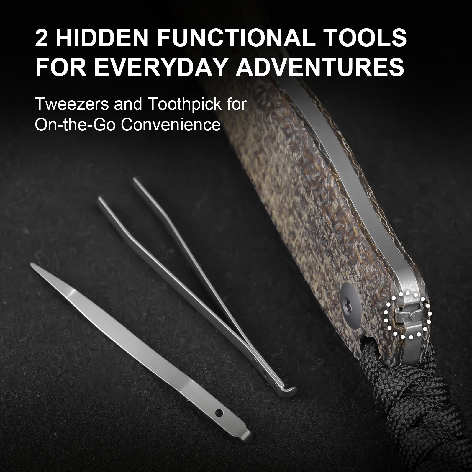 Kizer Drop Bear Clip Point Fixed Knife 14C28N Blade Micarta Handle+Sheath