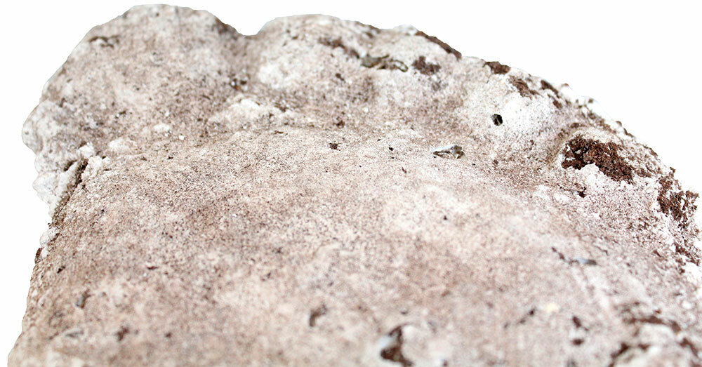 Arcane Artifacts Bigfoot Track Casting FULL SIZE Footprint Sasquatch NOT PLASTER