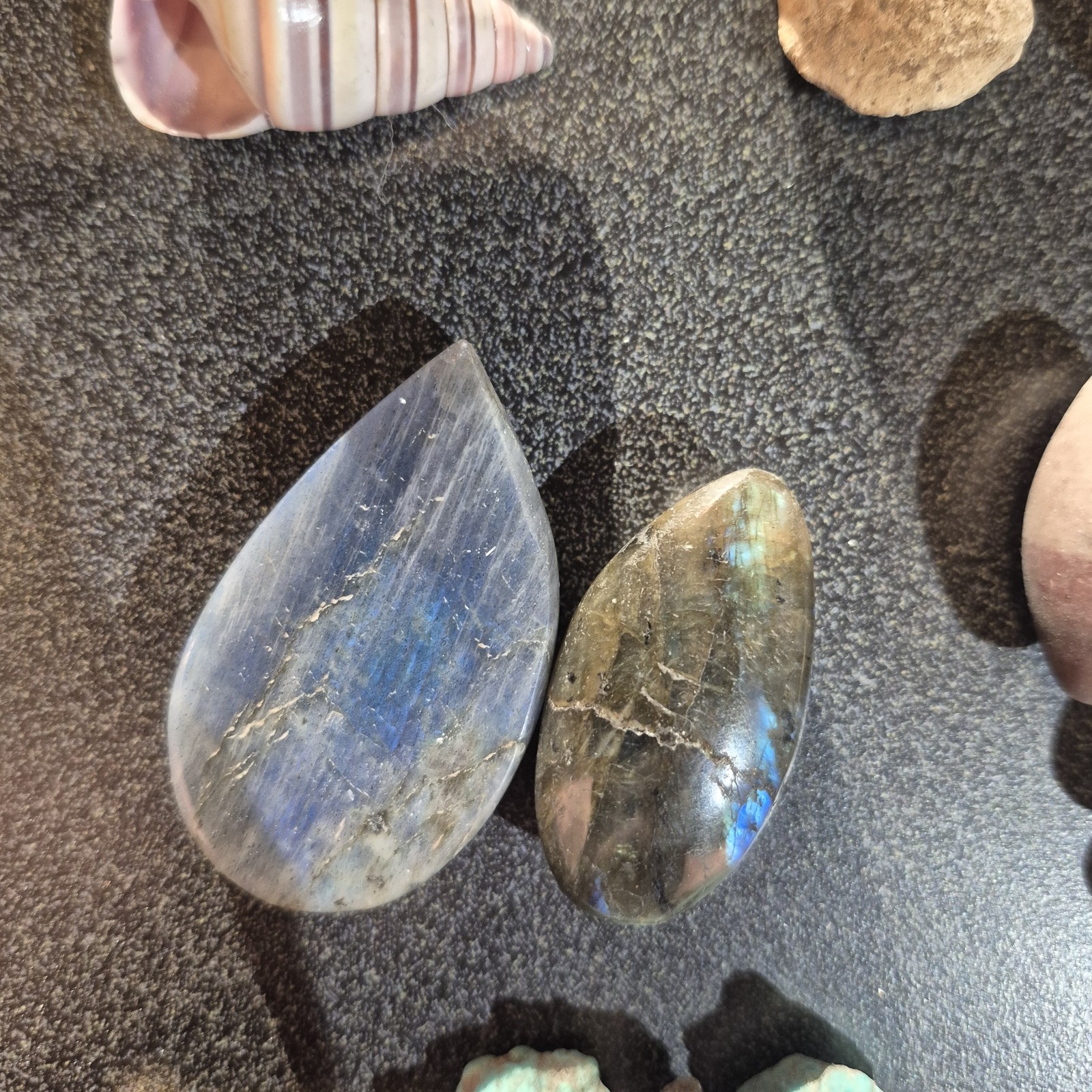 Ammonite Fossils, Crystals, Mineral Specimens, Shells, Cabochons Mixed Lot