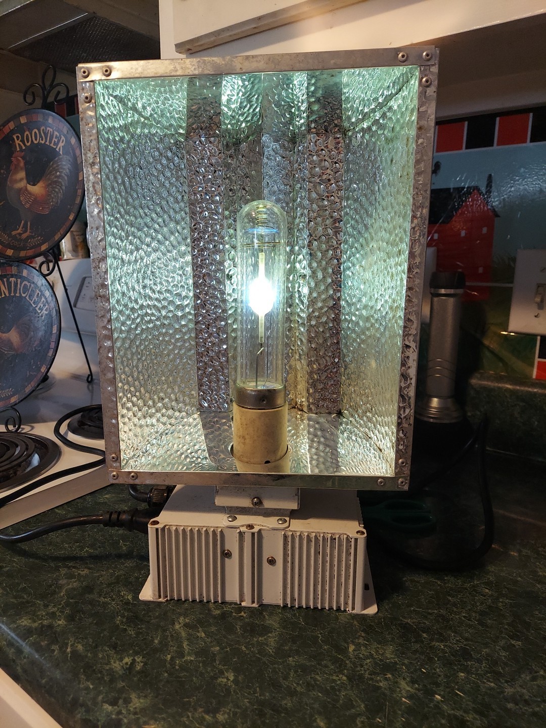 315-Watt Ceramic Metal Halide CMH Open Style Grow Light CMH 120/240v 315W-2