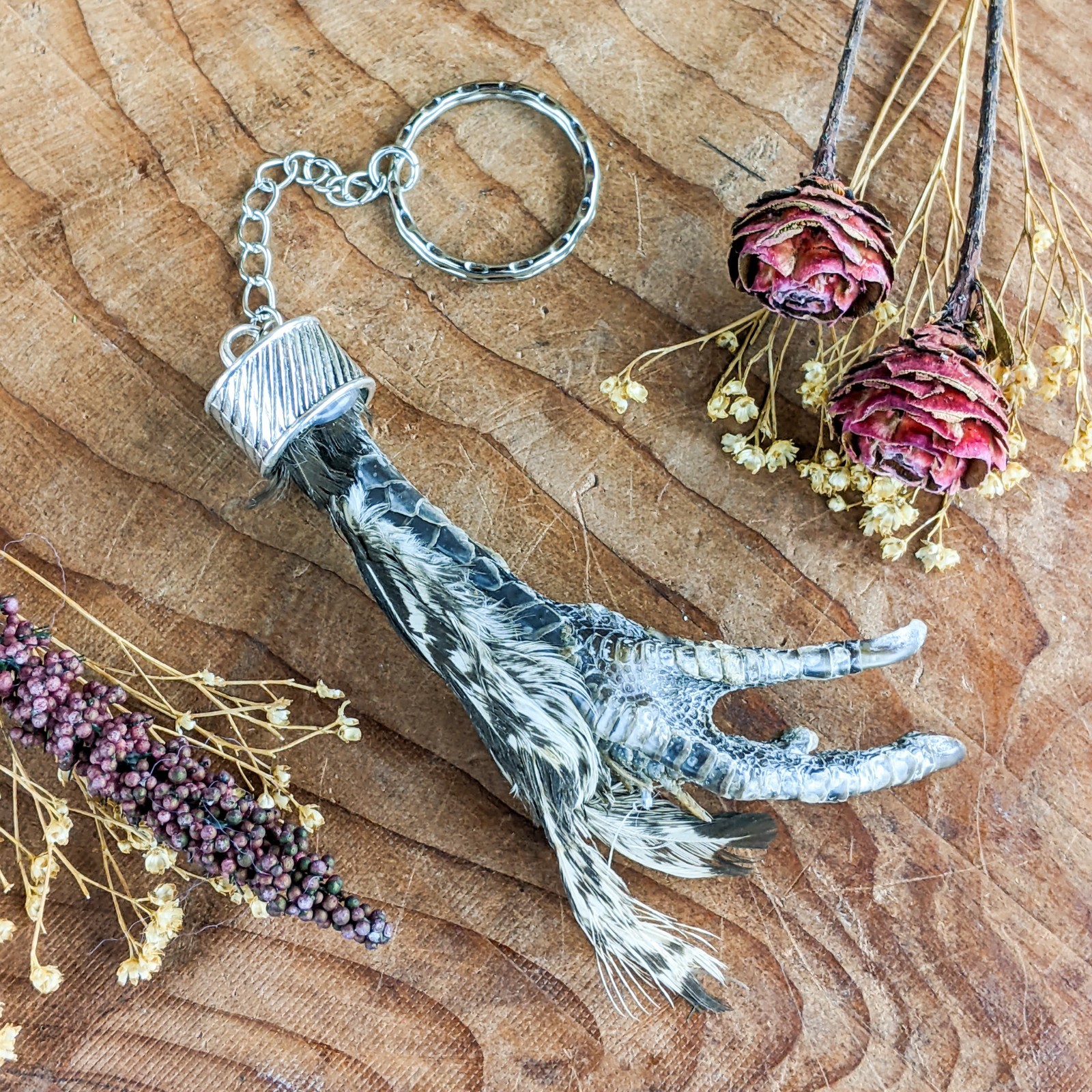 Real Chicken Foot Key Chain talisman voodoo pirate Taxidermy gift costume prop