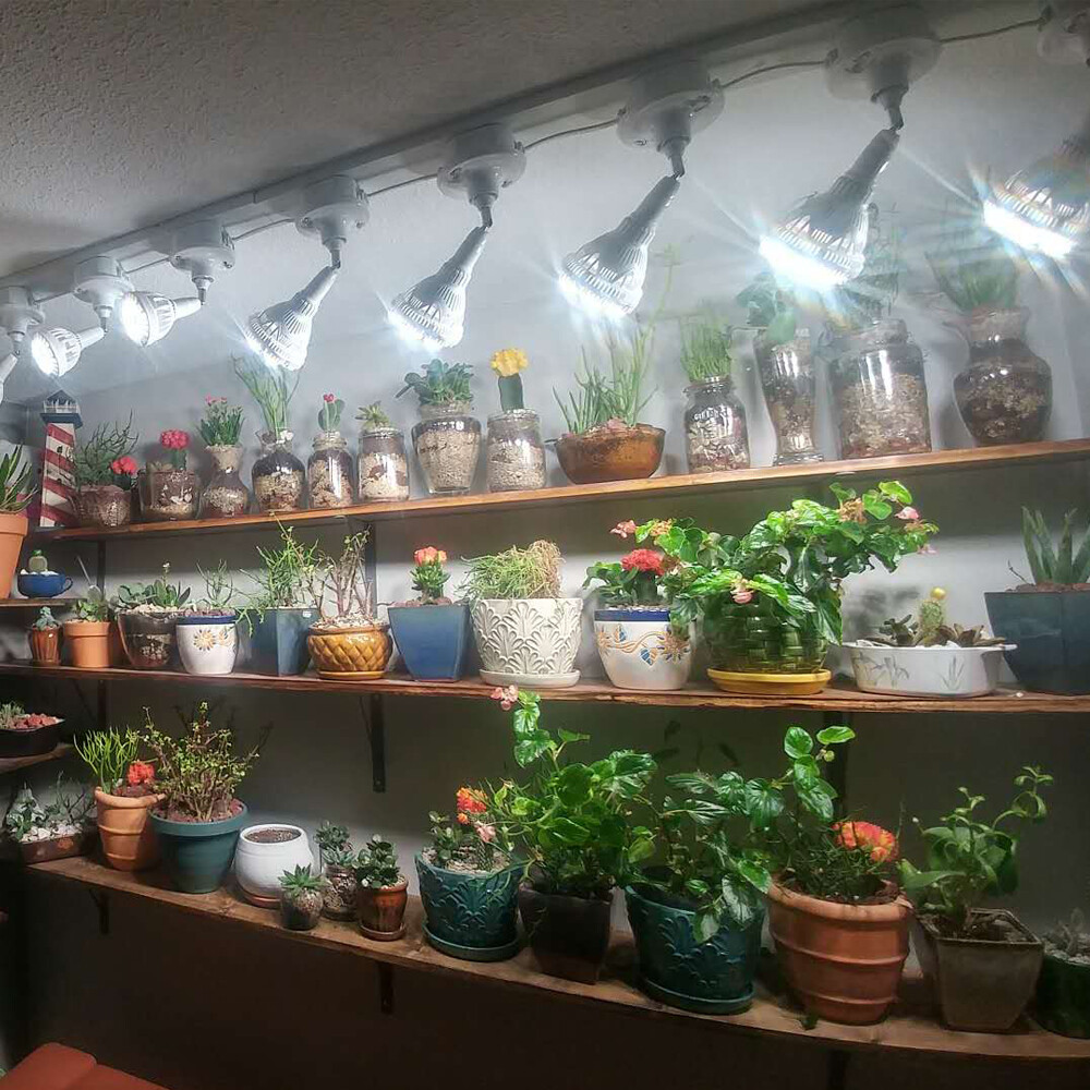 SANSI 36W/24W LED Plant Grow Light Bulb PPF 65.6 Full Spectrum Indoor Veg Bloom