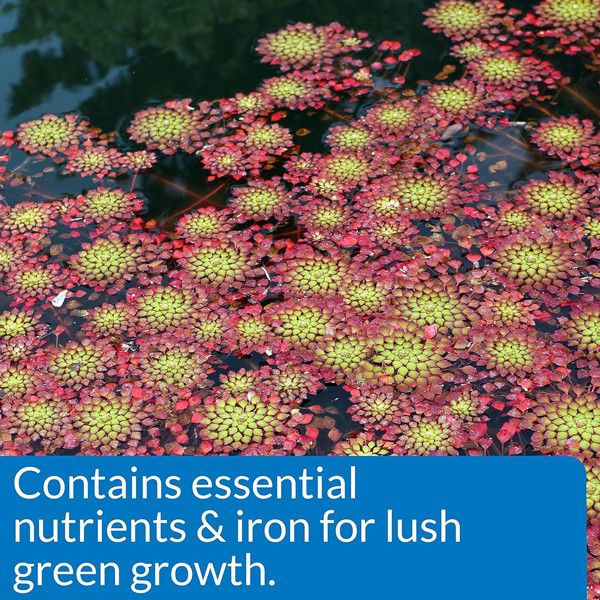 API Pond Aquatic Plant Food Tablets 25-Ct. 185A