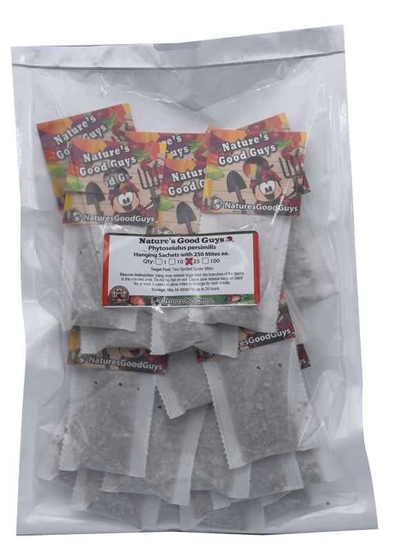 NaturesGoodGuys - Slow Release Hanging Sachets - Phytoseiulus persimilis
