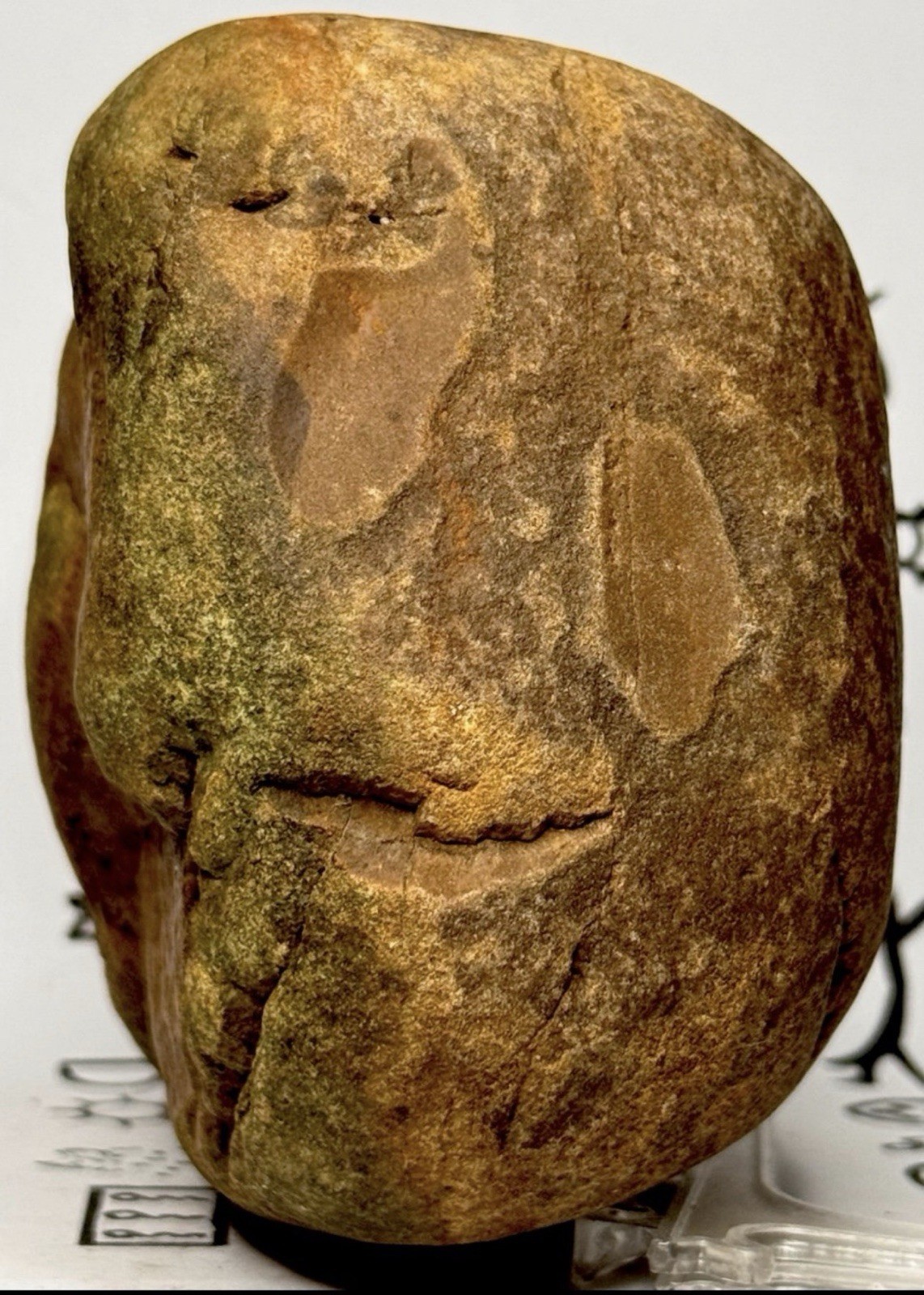 Native American Indian Authentic Artifact Stone Carved Effigy, 3 lb 2 oz • VA