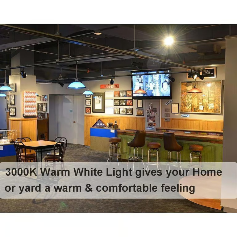 PAR30 Flood Light 75W, 6 Pack High Brightness 650LM PAR30 Halogen Long Neck Dimm