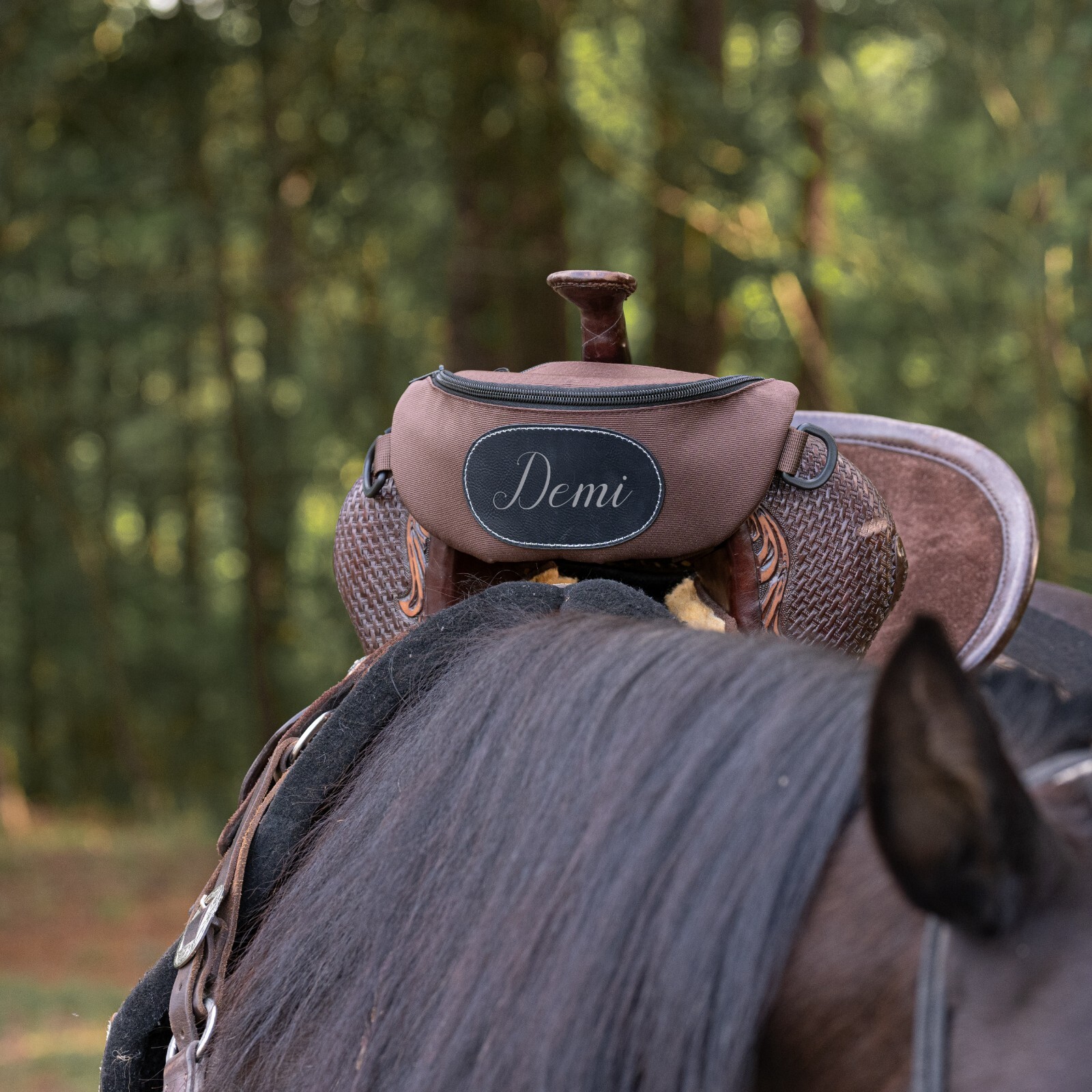 Personalized Horse Saddle Bag, Brown Pommel Bag, Horse Tack, Saddle Accessories