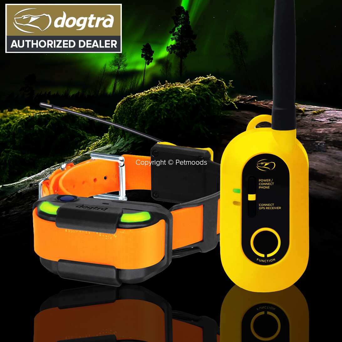 Dogtra PATHFINDER2 GPS Dog Tracking & Training Collar E-Fence LED Light