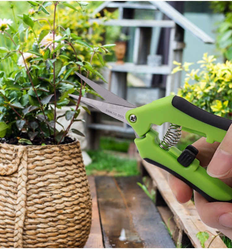 6 Pack Curved Blade Garden Scissors Trimmers Harvest Pruning Plants Trimming