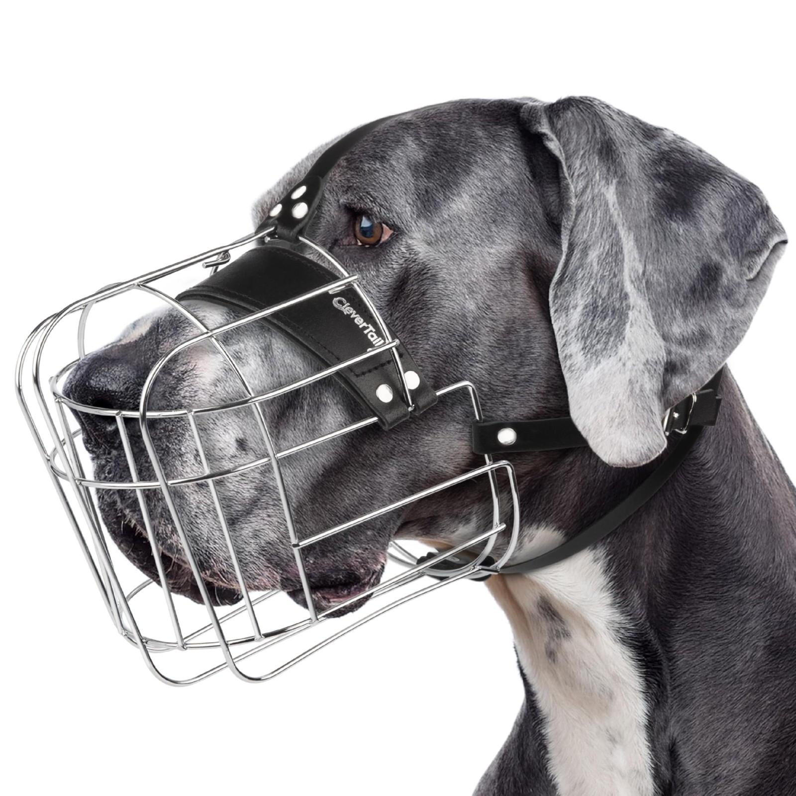 Extra Large Dog Muzzle Metal Basket Cage Anti Bark Bite Great Dane Mastiff