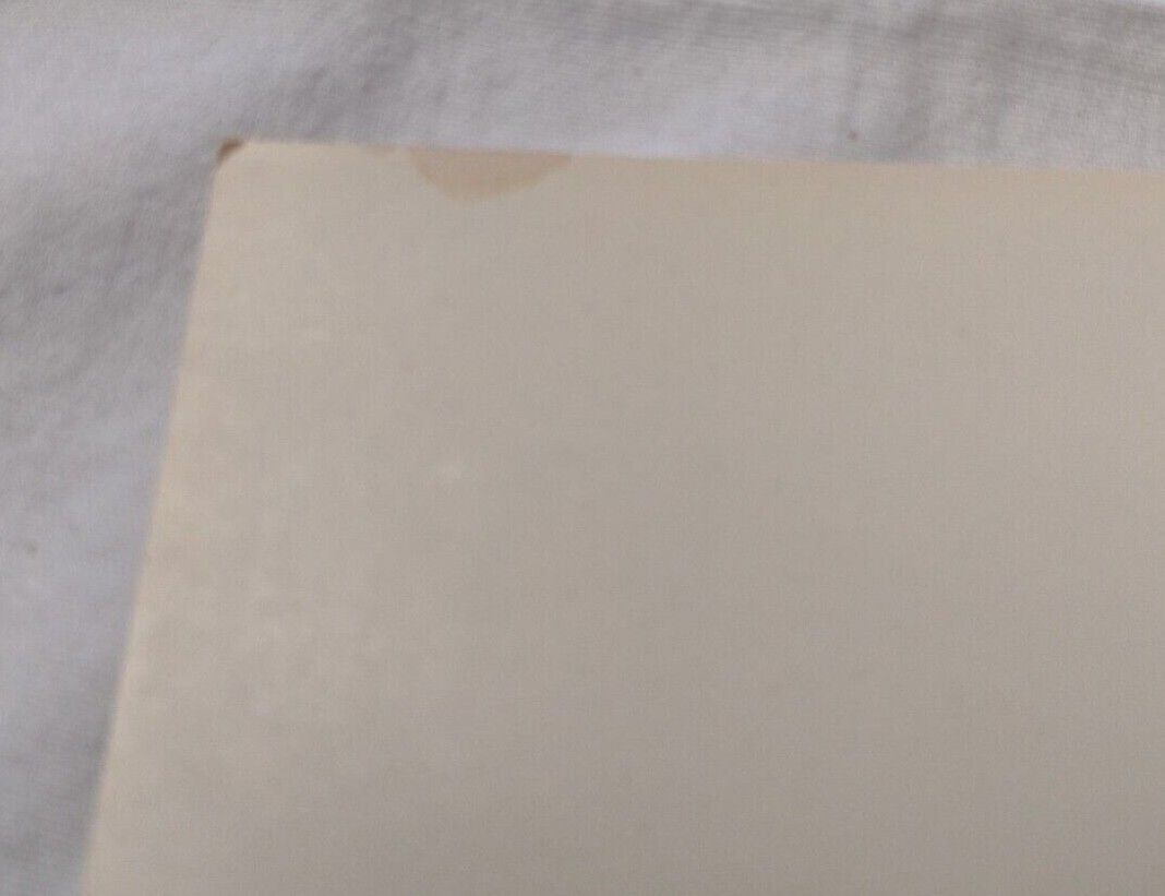 New Old Stock '75 Adventures Of The Wilderness Family 14x22 Theater Movie Poster