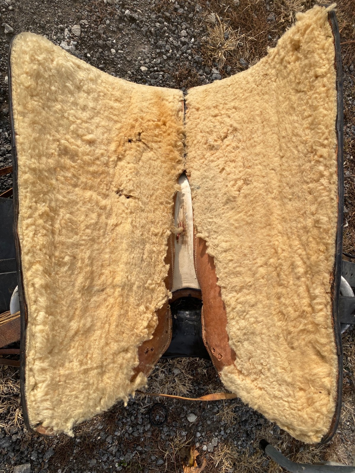 Vintage/Antique 13" youth Western parade saddle w/silver horse heads