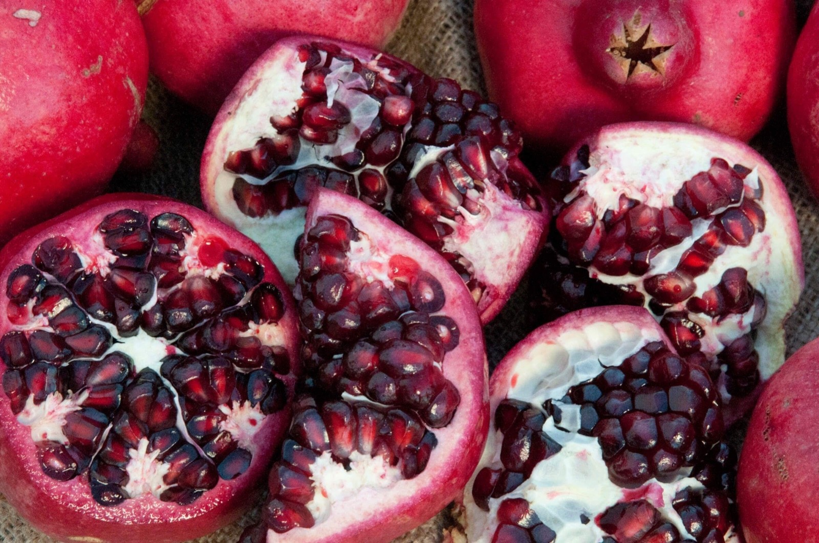 1 Parfianka Pomegranate Tree Punica granatum Starter Plant